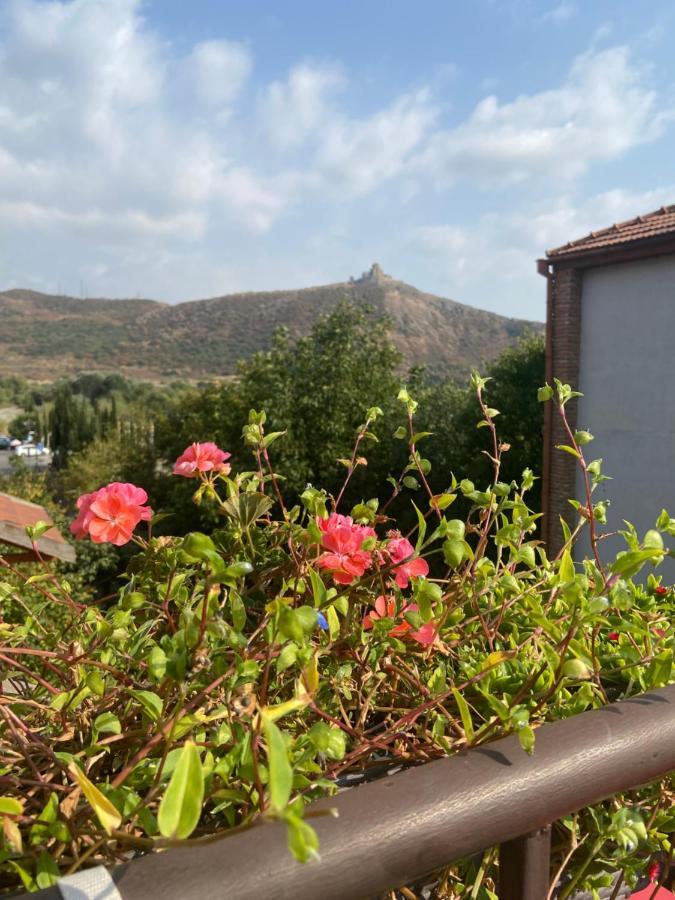 Tatin - Hotel & Cafe In Mtsʼkhetʼa المظهر الخارجي الصورة